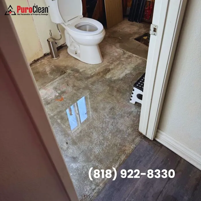 PuroClean of San Fernando Picture 8