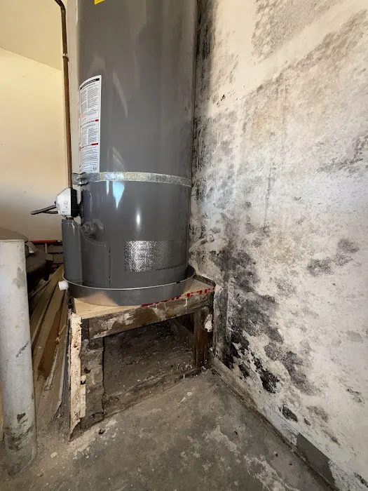 Water Damage Champ Picture 10