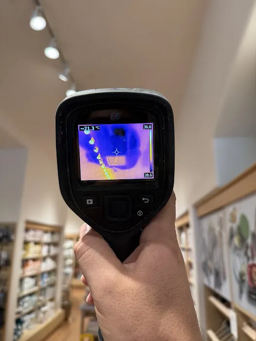 Water Damage Champ Picture 12