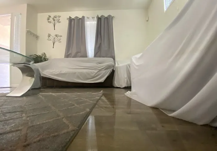 Water Damage Champ Picture 18