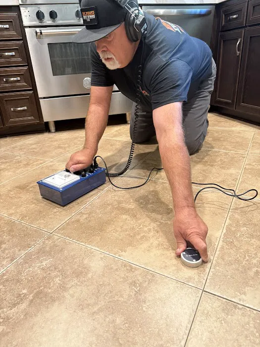 Inland Dry Pro Picture 1