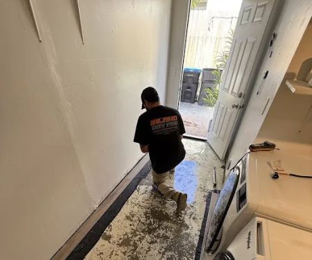 Dry On the Spot Restoration