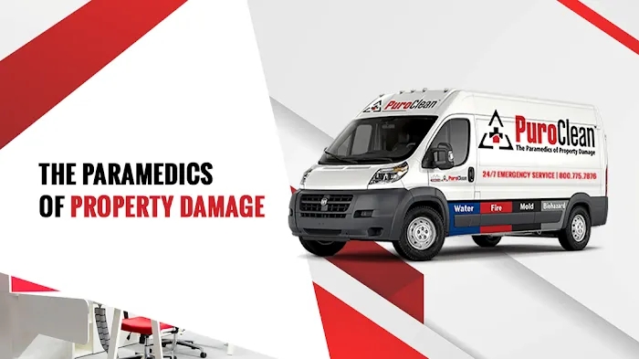 PuroClean Disaster Recovery Services Picture 1