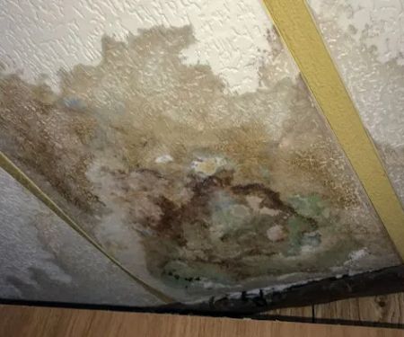 Sewage Damage Extractions