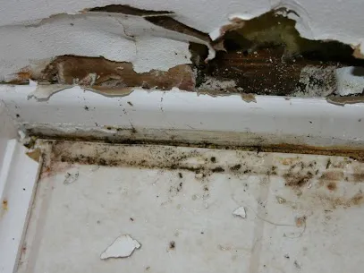 Sewage Damage Extractions Picture 3