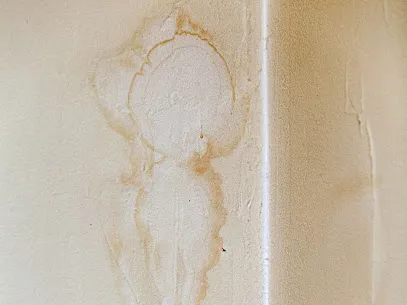 Sewage Damage Extractions Picture 2