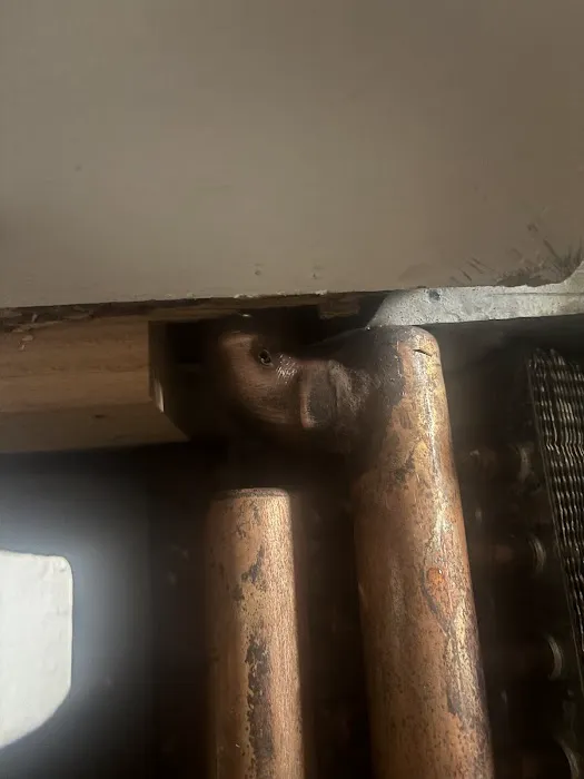 BELFOR Property Restoration Picture 5