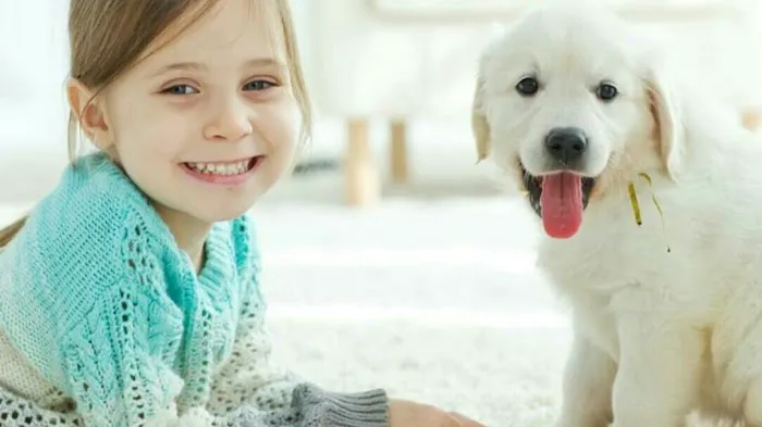 Pristine Carpet Cleaning and Water Damage Restoration Picture 3