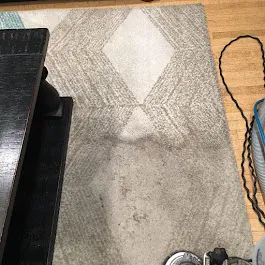 Pristine Carpet Cleaning and Water Damage Restoration Picture 1