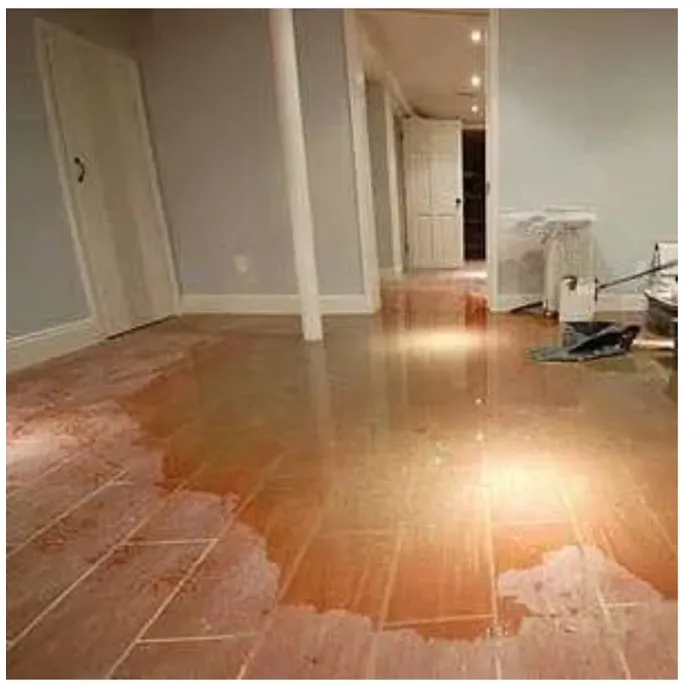 Pristine Carpet Cleaning and Water Damage Restoration Picture 5