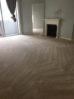 Pristine Carpet Cleaning and Water Damage Restoration Picture 7