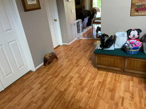 EMS Restoration & Construction Picture 2