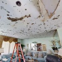 American Emergency Restoration and Reconstruction Services ico