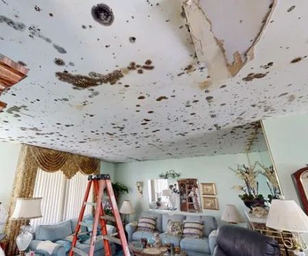 American Emergency Restoration and Reconstruction Services