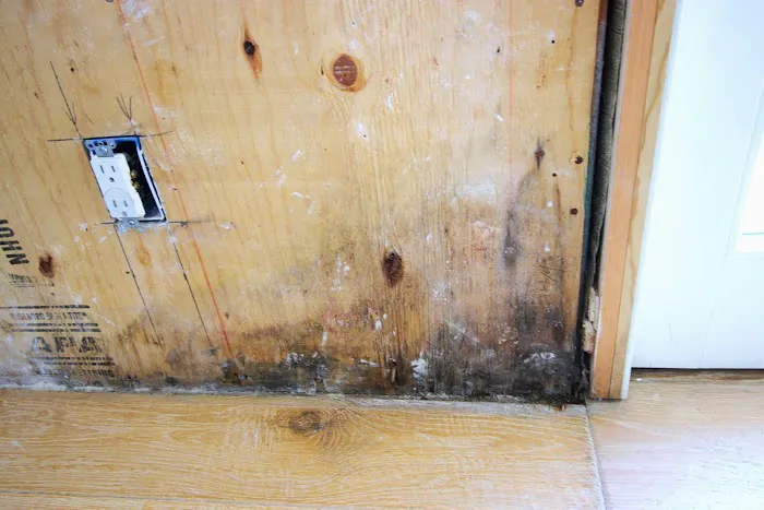 Triton Environmental and Restoration, Inc. Picture 3