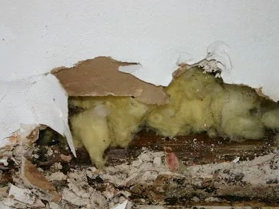 TK Water Restoration Picture 3