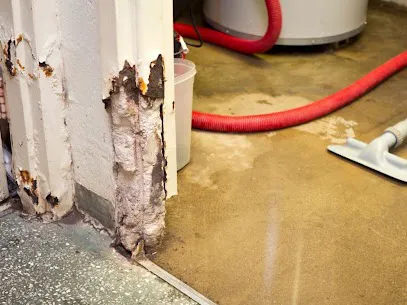 TK Water Restoration Picture 1