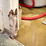 TK Water Restoration