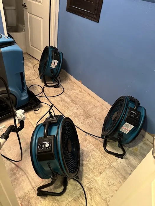 Imagine Restore Picture 4