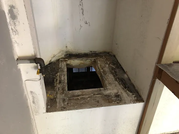 Simple Mold Removal Picture 1