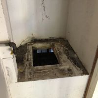 Simple Mold Removal ico