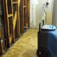 Elements Restoration ico