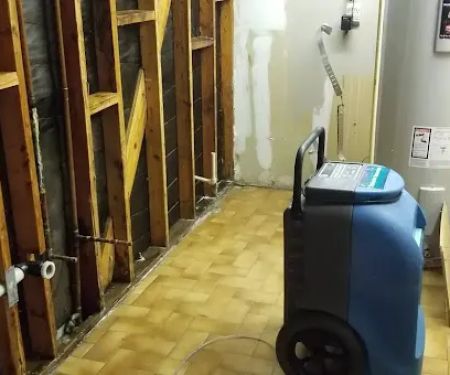 Elements Restoration