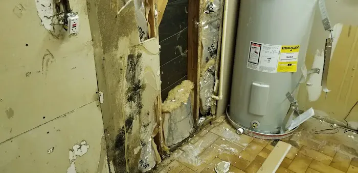 Elements Restoration Picture 6