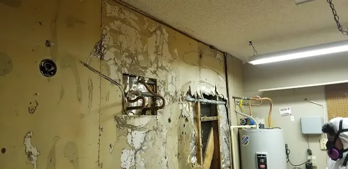 Elements Restoration Picture 4