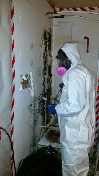 Paul Davis Restoration of Temecula Valley Picture 5