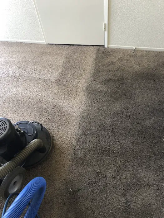 Priceless Carpet & Tile Care Picture 3