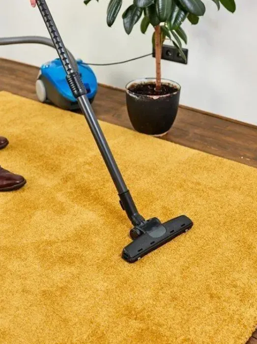 Priceless Carpet & Tile Care Picture 9