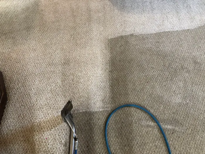 Priceless Carpet & Tile Care Picture 5