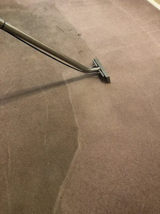 Priceless Carpet & Tile Care Picture 7