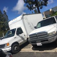 The Bioclean Team ico