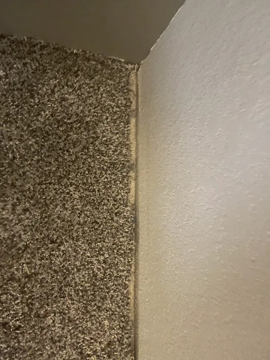 Pristine Carpet & Tile Cleaning Picture 6