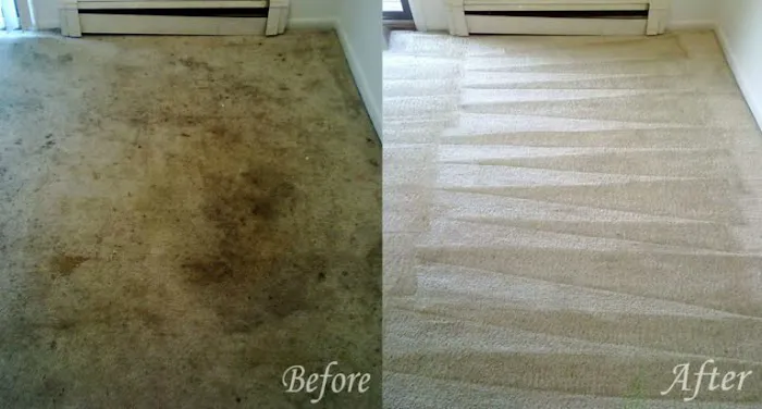 Pristine Carpet & Tile Cleaning Picture 8