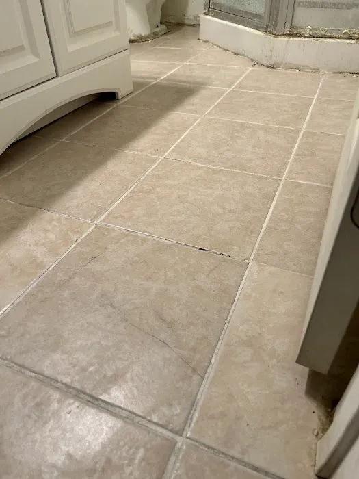 Stanley Steemer Picture 5