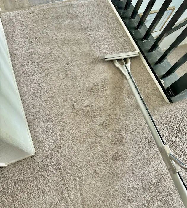 Stanley Steemer Picture 1