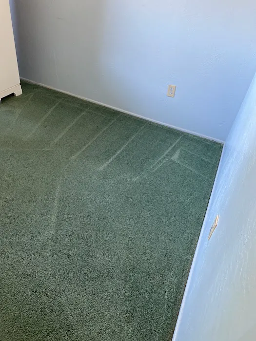 Stanley Steemer Picture 10