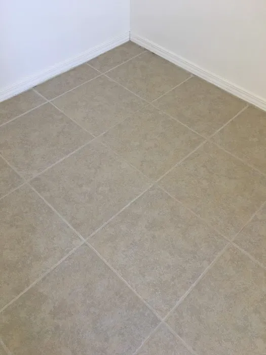 Dan's Carpet Cleaning Picture 4