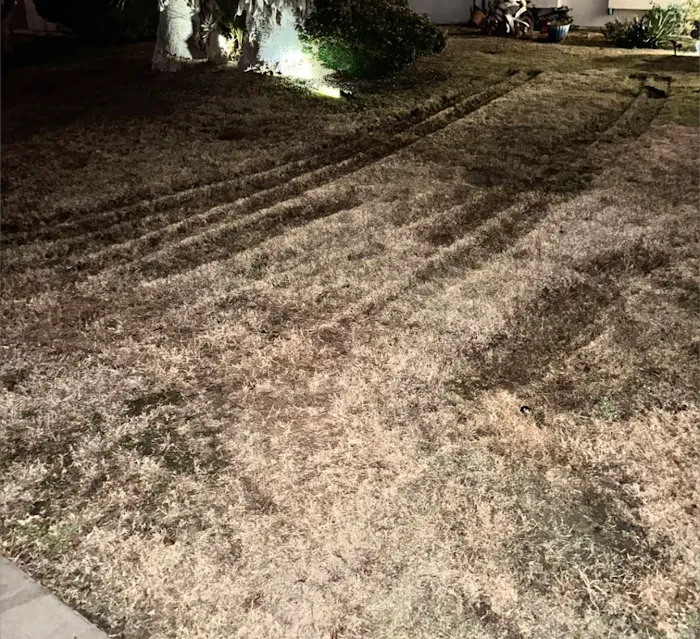 Roto-Rooter Plumbing & Water Cleanup Picture 9