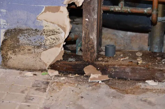 Speedy Palm Desert Water Damage Restoration Picture 9