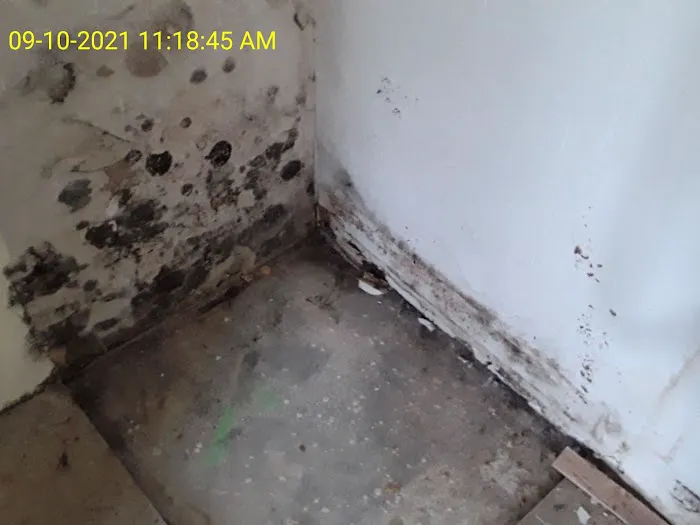 Valley Restoration LLC Picture 1