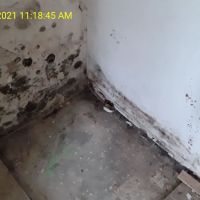 Valley Restoration LLC ico