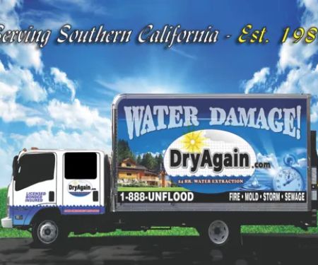 DryAgain Water, Mold & Fire Damage Restoration. Certified Mold Inspections, Testing & Removal