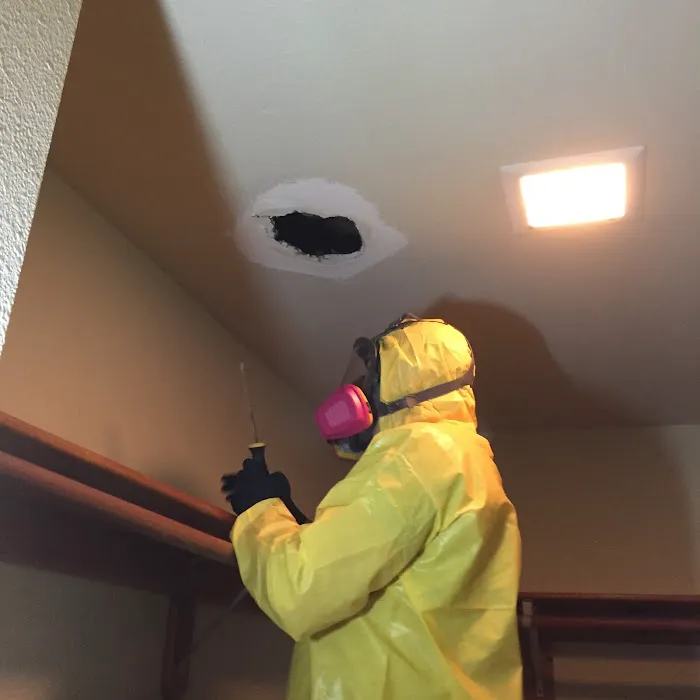 DryAgain Water, Mold & Fire Damage Restoration. Certified Mold Inspections, Testing & Removal Picture 9