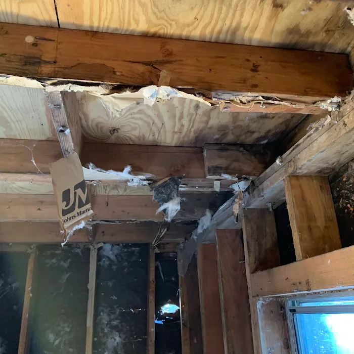 DryAgain Water, Mold & Fire Damage Restoration. Certified Mold Inspections, Testing & Removal Picture 8