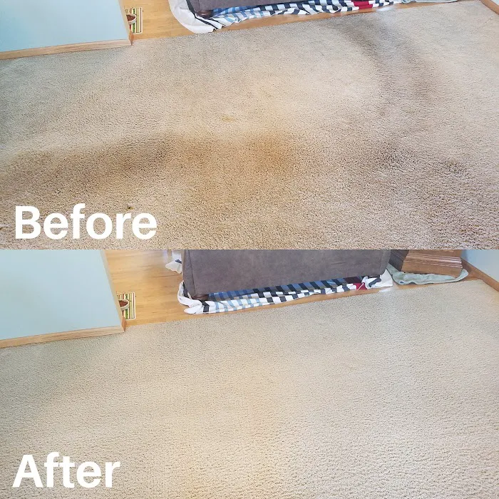 Smith's Carpet, Tile & Upholstery Cleaning Picture 3