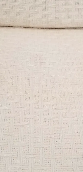 Spark Clean Brite - Carpet Cleaning & More (La Quinta, CA Branch) Picture 9